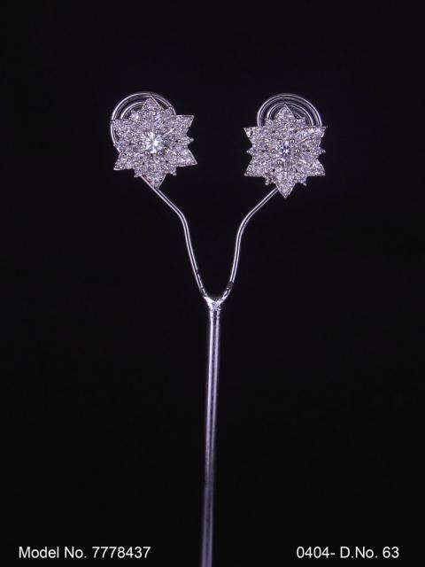 Princess Zircon Earrings